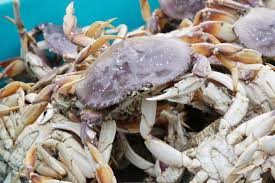 Sportfishingreport.com™ has brought the west coast fishing reports to you in one easy to use site. Humboldt Bay Crab Fishing Season Devastated By Covid 19 Times Standard