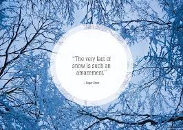 Pin On Quotes
