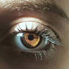 I N S T A G R A M Melissa Leclus Pretty Eyes Eye Photography Eyes