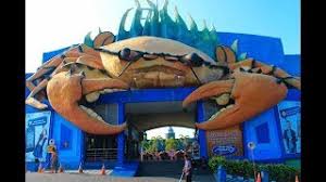 Harga tiket masuk wbl pada bulan juni 2021 ini sebesar rp 75.000 untuk weekday dan rp 100.000 untuk weekend. Wisata Bahari Lamongan Lamongan Destimap Destinations On Map