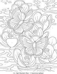 Pin On Butterflies To Color