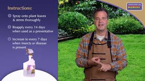 Treats up to 16 roses or other shrubs, or 200 sq. Rose Rx 3 In 1 Spray Rtu Bonide