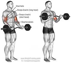 Biceps Workout And Forearm Workout Ez Bar Bicep Curl Exercicios De Musculacao Costas E Biceps Treino De Biceps