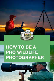 Simply having ambitious goals won't make those dreams suddenly come true, you have to make a plan to make it happen. How To Be A Pro Wildlife Photographer Wildlife Photography Tips Outdoor Photography Tips Digital Photography Lessons
