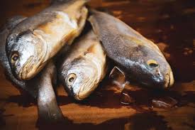 We did not find results for: Saiba Quais Peixes Podem Causar A Doenca Da Urina Preta Site De Linhares