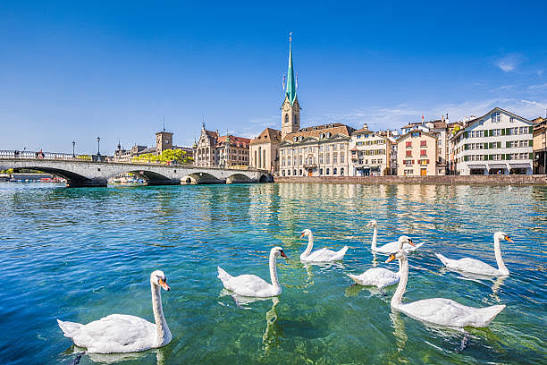 5,900+ Lake Zurich Stock Photos, Pictures & Royalty-Free Images - iStock