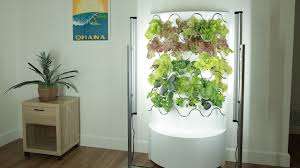 But before we get into that, let's talk about the finer details of hydroponics and how you can incorporate this concept into your garden! Iharvest Hydroponic Indoor Garden Youtube