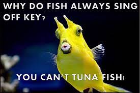 Maisie de krassel on instagram: Musical Humour Timeline Photos Funny Jokes For Kids Punny Jokes Stupid Jokes