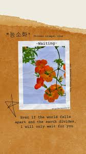 Meaning, pronunciation, synonyms, antonyms, origin, difficulty, usage index and more. Extraordinary You Trumpet Vine Flower Pictures Extraordinary