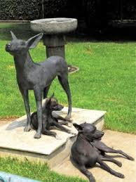 Plumed And Hairless Mexican Hairless Dog Hairless Dog Ancient Dogs