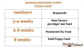 what is the best diet for a german shepherd puppy