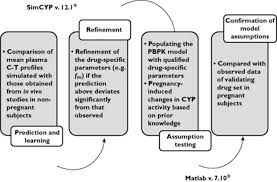 Expansion Of A Pbpk Model To Predict Disposition In Pregnant Women Of Drugs Cleared Via Multiple Cyp Enzymes Including Cyp2b6 Cyp2c9 And Cyp2c19 Abstract Europe Pmc