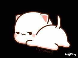 Pin by Pinner on GIFs/Memes | Cute cat gif, Cute anime cat, Cute love memes