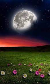 Sign In Beautiful Moon Images Wallpaper Nature Flowers Beautiful Nature Wallpaper