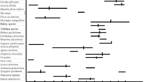 Image result for Acacia pilispina