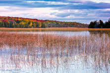Check spelling or type a new query. Door County Fall Color Travel Wisconsin Releases Fall Color Tool Door County Pulse