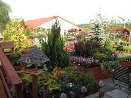 Williamson S My Florist Garden Centre