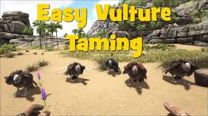 I imagine you are using s+ and wondering how to make propellant to run the collector? Ark Ragarok Solo Ice Cave Red Drop Farming W Thylacoleo By Whamykablamy