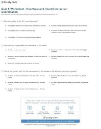 Quiz Worksheet Heartbeat And Heart Contraction Coordination Jpg 1140 1464 Worksheets Teaching Methods Middle School