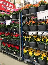 On more than one occasion, i have discovered that the price of a prescription medication at costco was more than 50% cheaper than the exact same how come costco won't let people pay if they don't have costco membership even though they are with their friends or relatives who do have. Costco Weekend Deals And Some Plants Too Save Money In Winnipeg