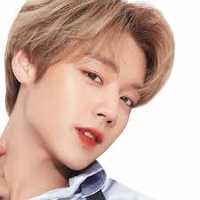 Jihoon Youngest Kpop Idol Kpop Idol Idol