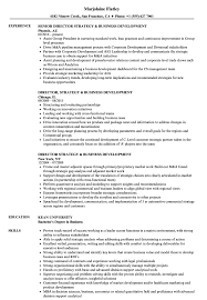 business development resume samples