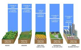 Kitchn is a source of inspiration for a happier, healthier life in your kitchen. Pin By Spellsisters On Design Inspo Water Pollution Pollution Water Wise