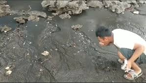 Saudariku air mata apakah yang selalu menetes darimu sumber : Unik Mata Air Tawar Muncul Di Bibir Pantai Okezone News