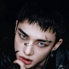 Stray Kids Fan Experiences and Obsessions