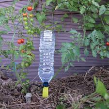 Fixez le pic sur le sol, et placez une bouteille d'eau. Systeme De Goutte A Goutte Par Bouteille Jardin Ducatillon