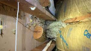 A & a pest control co., inc, manchester, ct. A A Pest Control Co Inc Home Facebook