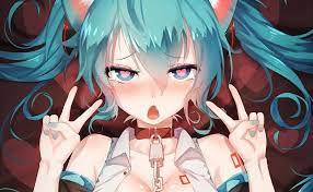 Mikudoujin