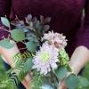 Flowers which cannot be divided into equal halves by any plane. 1