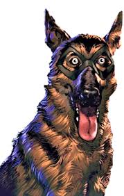 Maybe you would like to learn more about one of these? Ace The Bat Hound Wikipedia