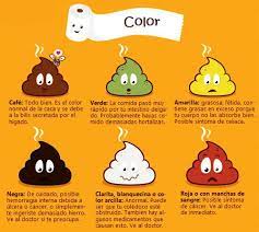 Conozca Su Caca Revista Integral