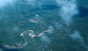 35 km im nordwesten von manaus, zwischen dem rio negro und dem rio solimões. Der Amazonas Regenwald Blutet Aus Adveniat