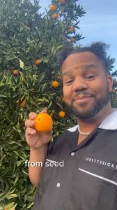 This NY’s resolution is actually going to be kept 👀🍊, ., We broke the  mold in 2024, and we’re determined to make 2025 even better. Our “New Year,  New We” video reflects this commitment, featuring ...