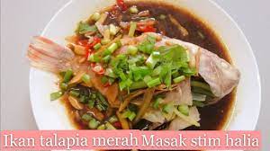 Saya menyediakan masak stim selepas teringatkan ikan masak stim yang dimakan semasa berbuka puasa di restoran muhibbah tahun lalu yang sangat sedap. Ikan Talapia Merah Masak Stim Halia Youtube