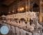 David Tutera Wedding Decor