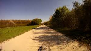 Wahner Heide Near Cologne Germany Indoor Bike Training Virtual Cyc Indoor Bike Bike Training Treadmill Walking