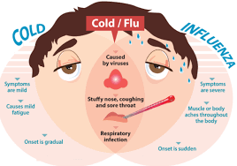 Strains of this type have also been found in birds, horses, pigs other symptoms such as nausea, vomiting, and diarrhea are rare in adults but more common in children. Types Of Flu Causes Symptoms Prevention Tips