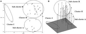 Image result for Cyamopsis serrata
