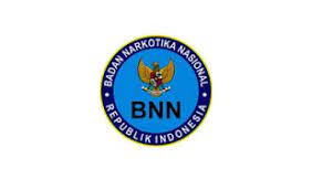 Ada beberapa persyaratan yang harus penuhi oleh pelamar sebelum melakukan pendaftaran. Lowongan Non Pns Tenaga Kontrak Badan Narkotika Nasional Tahun 2020 Rekrutmen Lowongan Kerja Bulan Mei 2021