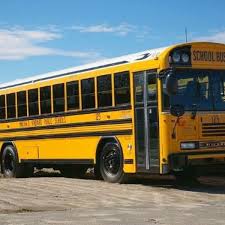 Image result for School Bus Yellow 2019 Transit