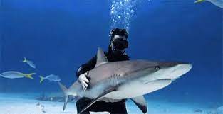kopek baligi gif kopekbaligi discover share gifs animals creatures fish pet