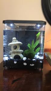 The size you choose could kill your fish. Pin On Aquarium