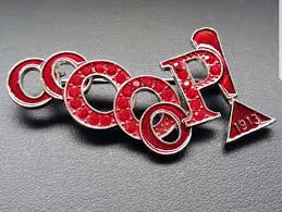 Beautiful Oo Oop Brooch Deltasigmatheta 1913 Dst Delta Sigma Theta Sorority Delta Sigma Theta Gifts Delta Sigma Theta Apparel