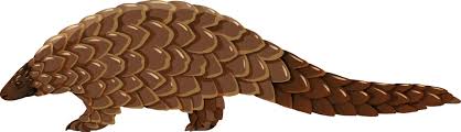 The shy, harmless pangolin is becoming increasingly well known for one reason: Pangolin Tier Auf Weissem Hintergrund 1962628 Vektor Kunst Bei Vecteezy