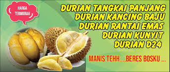 Kabupaten lumajang pantas disebut sebagai salah satu surganya para pencinta durian. Banner Durian Freelance Durian Food Vegetables