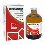 Enrofloxacina 10% antibiótico de amplio espectro | VECOL